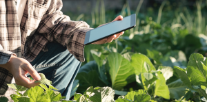 The growing role of technology in feeding the world