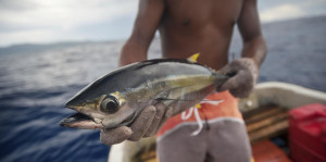 The African country pioneering digital fishing