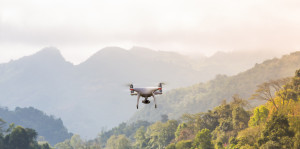 These drones are revolutionising forest conservation